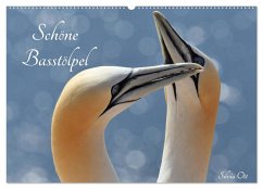 Schöne Basstölpel (Wandkalender 2026 DIN A2 quer), CALVENDO Monatskalender Cover Schöne Basstölpel (Wandkalender 2026 DIN A2 quer), CALVENDO Monatskalender