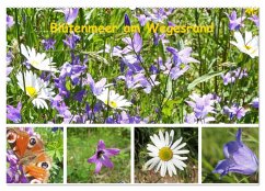 Blütenmeer am Wegesrand (Wandkalender 2026 DIN A2 quer), CALVENDO Monatskalender