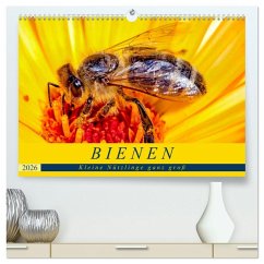 BIENEN - Kleine Nützlinge ganz groß (hochwertiger Premium Wandkalender 2026 DIN A2 quer), Kunstdruck in Hochglanz