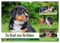 Cover Ein Hund zum Verlieben - Großer Schweizer Sennenhund (Wandkalender 2026 DIN A3 quer), CALVENDO Monatskalender