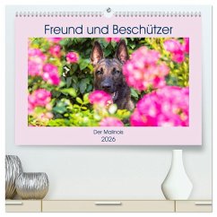 Freund und Beschützer - Der Malinois (hochwertiger Premium Wandkalender 2026 DIN A2 quer), Kunstdruck in Hochglanz