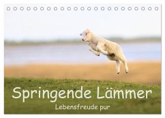 Springende Lämmer: Lebensfreude pur (Tischkalender 2026 DIN A5 quer), CALVENDO Monatskalender Springende Lämmer: Lebensfreude pur (Tischkalender 2026 DIN A5 quer), CALVENDO Monatskalender