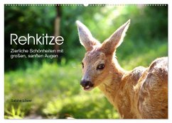 Cover Rehkitze, zierliche Schönheiten mit großen, sanften Augen (Wandkalender 2026 DIN A2 quer), CALVENDO Monatskalender