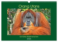 Orang Utans Sumatras Waldmenschen (Wandkalender 2026 DIN A3 quer), CALVENDO Monatskalender Orang Utans Sumatras Waldmenschen (Wandkalender 2026 DIN A3 quer), CALVENDO Monatskalender