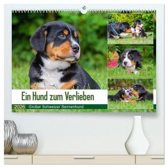 Cover Ein Hund zum Verlieben - Großer Schweizer Sennenhund (hochwertiger Premium Wandkalender 2026 DIN A2 quer), Kunstdruck in Hochglanz