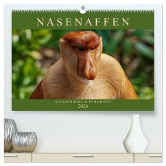 Nasenaffen von Borneo (hochwertiger Premium Wandkalender 2026 DIN A2 quer), Kunstdruck in Hochglanz Nasenaffen von Borneo (hochwertiger Premium Wandkalender 2026 DIN A2 quer), Kunstdruck in Hochglanz