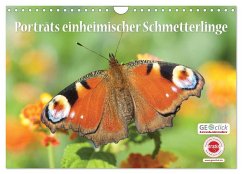 GEOclick Lernkalender: Porträts einheimischer Schmetterlinge (Wandkalender 2026 DIN A4 quer), CALVENDO Monatskalender GEOclick Lernkalender: Porträts einheimischer Schmetterlinge (Wandkalender 2026 DIN A4 quer), CALVENDO Monatskalender