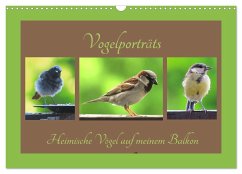 Vogelporträts - Heimische Vögel auf meinem Balkon (Wandkalender 2026 DIN A3 quer), CALVENDO Monatskalender