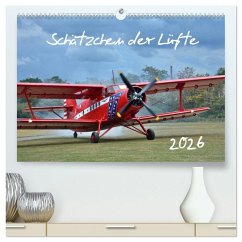 Cover Schätzchen der Lüfte (hochwertiger Premium Wandkalender 2026 DIN A2 quer), Kunstdruck in Hochglanz