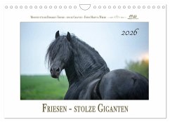 Friesen - stolze Giganten (Wandkalender 2026 DIN A4 quer), CALVENDO Monatskalender