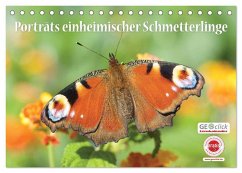 GEOclick Lernkalender: Porträts einheimischer Schmetterlinge (Tischkalender 2026 DIN A5 quer), CALVENDO Monatskalender