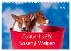 Cover Zauberhafte Basenji-Welpen (Wandkalender 2026 DIN A3 quer), CALVENDO Monatskalender