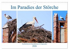 Cover Im Paradies der Störche - Dorfkirchen als Storchkirchen in Ostpreußen (Wandkalender 2026 DIN A3 quer), CALVENDO Monatskalender