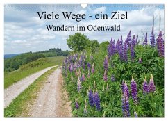 Viele Wege - ein Ziel Wandern im Odenwald (Wandkalender 2026 DIN A3 quer), CALVENDO Monatskalender