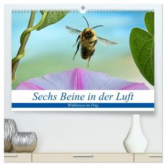 Sechs Beine in der Luft - Wildbienen im Flug (hochwertiger Premium Wandkalender 2026 DIN A2 quer), Kunstdruck in Hochglanz Sechs Beine in der Luft - Wildbienen im Flug (hochwertiger Premium Wandkalender 2026 DIN A2 quer), Kunstdruck in Hochglanz