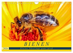 BIENEN - Kleine Nützlinge ganz groß (Wandkalender 2026 DIN A4 quer), CALVENDO Monatskalender