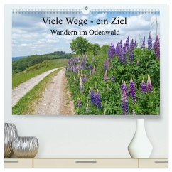 Viele Wege - ein Ziel Wandern im Odenwald (hochwertiger Premium Wandkalender 2026 DIN A2 quer), Kunstdruck in Hochglanz Cover Viele Wege - ein Ziel Wandern im Odenwald (hochwertiger Premium Wandkalender 2026 DIN A2 quer), Kunstdruck in Hochglanz