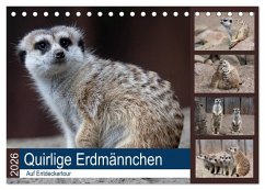 Cover Quirlige Erdmännchen (Tischkalender 2026 DIN A5 quer), CALVENDO Monatskalender