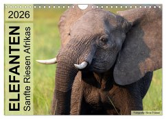 Cover Elefanten - Sanfte Riesen Afrikas (Wandkalender 2026 DIN A4 quer), CALVENDO Monatskalender