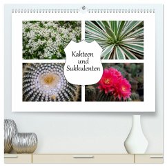 Kakteen und Sukkulenten (hochwertiger Premium Wandkalender 2026 DIN A2 quer), Kunstdruck in Hochglanz