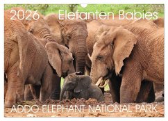 Cover ADDO ELEPHANT NATIONAL PARK Elefanten Babies (Wandkalender 2026 DIN A3 quer), CALVENDO Monatskalender