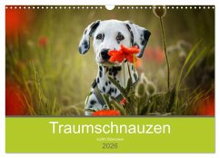 Cover Traumschnauzen (Wandkalender 2026 DIN A3 quer), CALVENDO Monatskalender