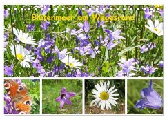 Blütenmeer am Wegesrand (Tischkalender 2026 DIN A5 quer), CALVENDO Monatskalender