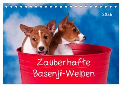 Cover Zauberhafte Basenji-Welpen (Tischkalender 2026 DIN A5 quer), CALVENDO Monatskalender