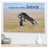 Faszination Afrika: Zebras... - Bild 1