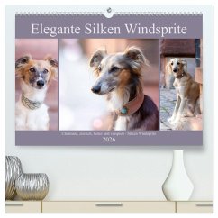 Cover Elegante Silken Windsprite (hochwertiger Premium Wandkalender 2026 DIN A2 quer), Kunstdruck in Hochglanz