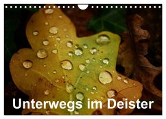 Unterwegs im Deister (Wandkalender 2026 DIN A4 quer), CALVENDO Monatskalender