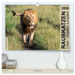 Cover Raubkatzen - Löwe, Gepard, Leopard (hochwertiger Premium Wandkalender 2026 DIN A2 quer), Kunstdruck in Hochglanz