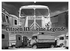 Citroën HY eine Legende in Schwarzweiß (Wandkalender 2026 DIN A2 quer), CALVENDO Monatskalender