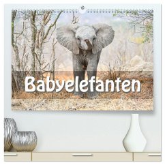 Babyelefanten (hochwertiger Premium Wandkalender 2026 DIN A2 quer), Kunstdruck in Hochglanz