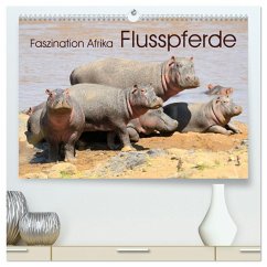 Faszination Afrika: Flusspferde (hochwertiger Premium Wandkalender 2026 DIN A2 quer), Kunstdruck in Hochglanz Faszination Afrika: Flusspferde (hochwertiger Premium Wandkalender 2026 DIN A2 quer), Kunstdruck in Hochglanz