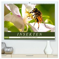 INSEKTEN - Makrofotografie in freier Natur (hochwertiger Premium Wandkalender 2026 DIN A2 quer), Kunstdruck in Hochglanz