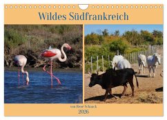 Cover Wildes Südfrankreich (Wandkalender 2026 DIN A4 quer), CALVENDO Monatskalender