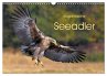 Majestätische Seeadler (Wandkalender... - Bild 1