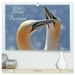 Cover Schöne Basstölpel (hochwertiger Premium Wandkalender 2026 DIN A2 quer), Kunstdruck in Hochglanz
