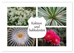 Cover Kakteen und Sukkulenten (Wandkalender 2026 DIN A2 quer), CALVENDO Monatskalender