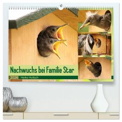 Nachwuchs bei Familie Star (hochwertiger Premium Wandkalender 2026 DIN A2 quer), Kunstdruck in Hochglanz