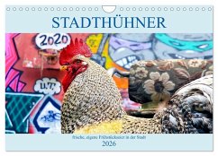 Cover Stadthühner (Wandkalender 2026 DIN A4 quer), CALVENDO Monatskalender