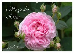 Magie der Rosen (Wandkalender 2026 DIN A2 quer), CALVENDO Monatskalender Magie der Rosen (Wandkalender 2026 DIN A2 quer), CALVENDO Monatskalender