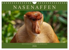 Nasenaffen von Borneo (Wandkalender 2026 DIN A4 quer), CALVENDO Monatskalender