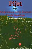 PIJET JAVANESE MASSAGE NERVE PRESSURE POINTS DOCTRINE