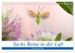 Cover Sechs Beine in der Luft - Wanzen im Flug (Tischkalender 2026 DIN A5 quer), CALVENDO Monatskalender