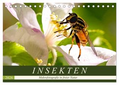 INSEKTEN - Makrofotografie in freier Natur (Tischkalender 2026 DIN A5 quer), CALVENDO Monatskalender