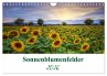 Sonnenblumenfelder (Wandkalender 2026... - Bild 1