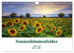 Cover Sonnenblumenfelder (Wandkalender 2026 DIN A4 quer), CALVENDO Monatskalender