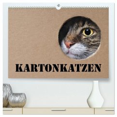 Karton Katzen (hochwertiger Premium Wandkalender 2026 DIN A2 quer), Kunstdruck in Hochglanz Karton Katzen (hochwertiger Premium Wandkalender 2026 DIN A2 quer), Kunstdruck in Hochglanz